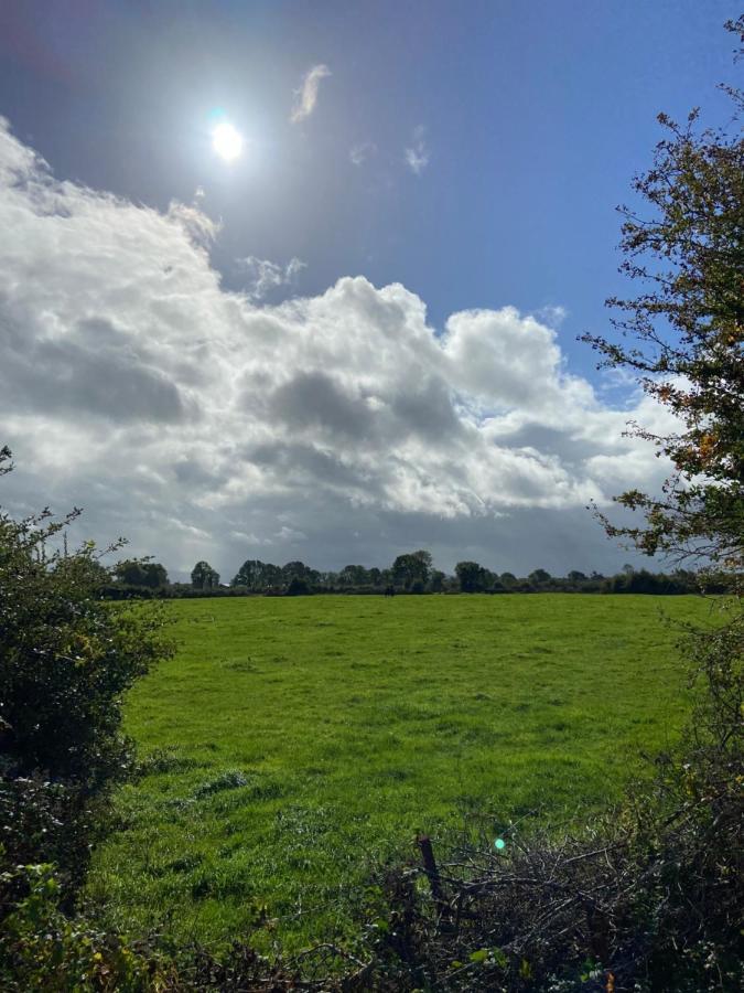 Limerick Junction Katie'S Cottage מראה חיצוני תמונה