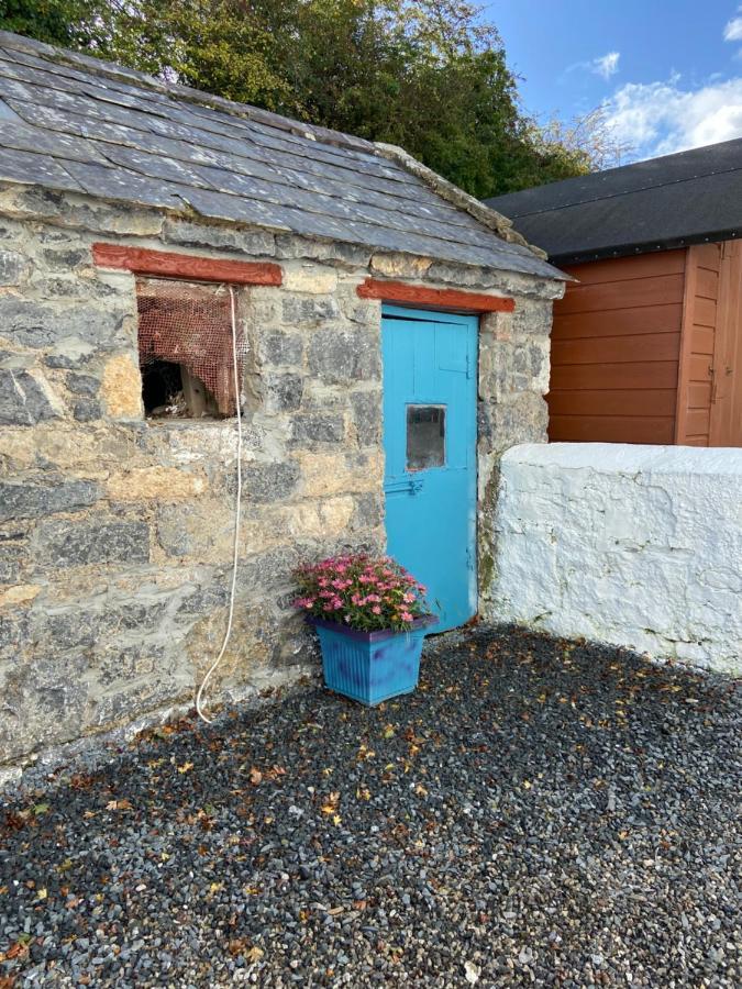 Limerick Junction Katie'S Cottage מראה חיצוני תמונה